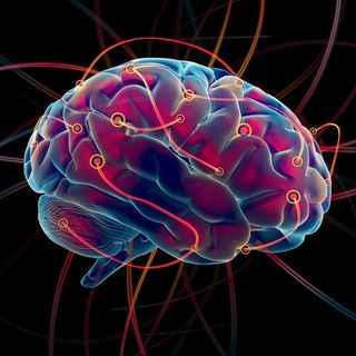 brain with connections